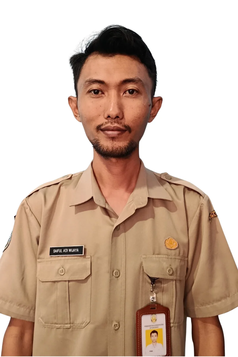 SAIFUL ADI WIJAYA, S.Pd